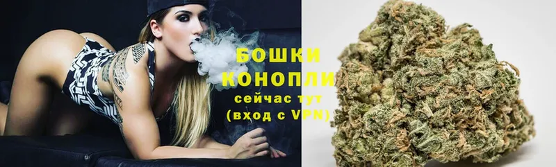 Шишки марихуана SATIVA & INDICA  Тарко-Сале 